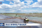 黑龙江省春耕生产接近尾声