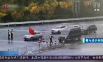 共度晨光